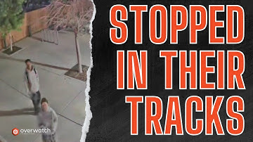 Caught & Stopped TWICE: Watch These Intruders Give Up Fast