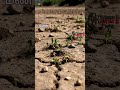 #மண் #soil #soilmaking #மண்உருவாதல் #பாறைகள்வானிலையாலழிதல்
