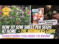Sweeten Up Your Garden: A STEP-BY-STEP Guide to SOWING SWEET PEA SEEDS at HOME! | Beginnners Guide