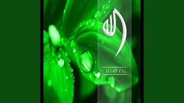 عبد الله المطرود سورة ابراهيم