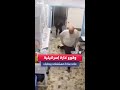 وقوع غارة إسرائيلية على ساحة مستشفى في بعلبك شرق لبنان