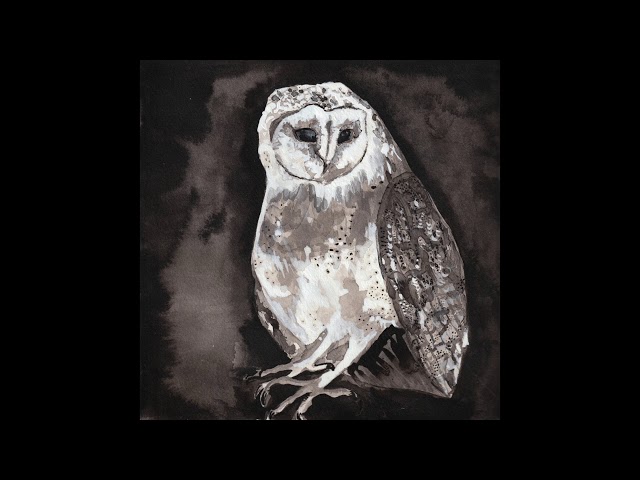 Cosmo Sheldrake - Owl Song class=