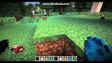 New Animals in the Twilight Forest