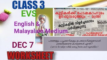 Class 3 Evs Worksheet December 7/Itsvicters Worksheet/ Teaching Corner By Safna