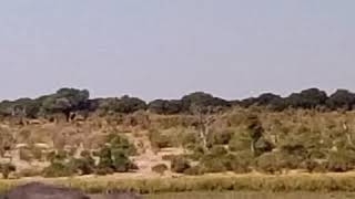 Namibia