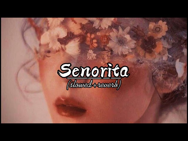 DJ Noiz - Senorita feat. Kennyon Brown, Donell Lewis & Konecs - (slowed+reverb) class=