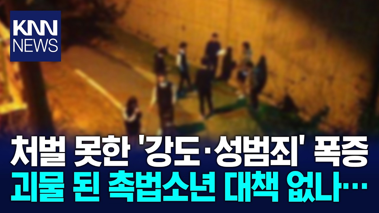 촉법소년 절반 이상이 '13세' 악질 된 소년범들 어떡하나 / KNN