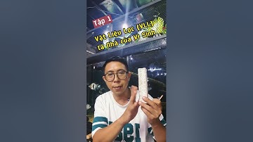 Tập 1 : Vật liệu lọc chính là ngôi nhà của vi sinh trong bể cá