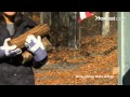 Quick Tips: How to Store Firewood Quick Tips: How to Store Firewood
