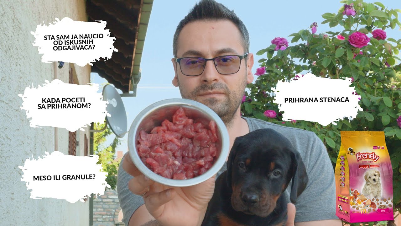 Prihrana stenaca, Kada? Kako? Otktivam semu kako ja to radim