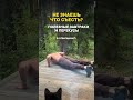 Полезный завтрак. В описании #спб #рецепт #спорт #рецепты
