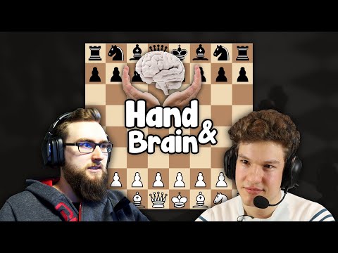 Wir probieren den Koop-Modus im SCHACH! | Niklas Steenfatt Stream Highlights