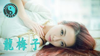 Long Mei Zi 龍梅子 • 暖城【Beautiful Chinese Music】