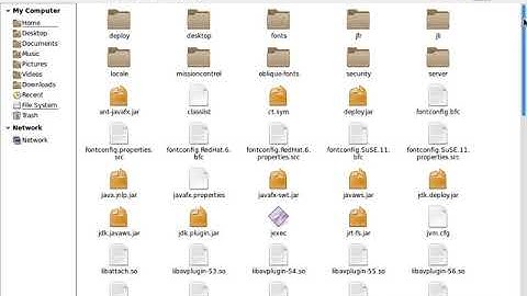 Oracle JDK 10 Zip Installation in Debian 8.10 | Java SE 10