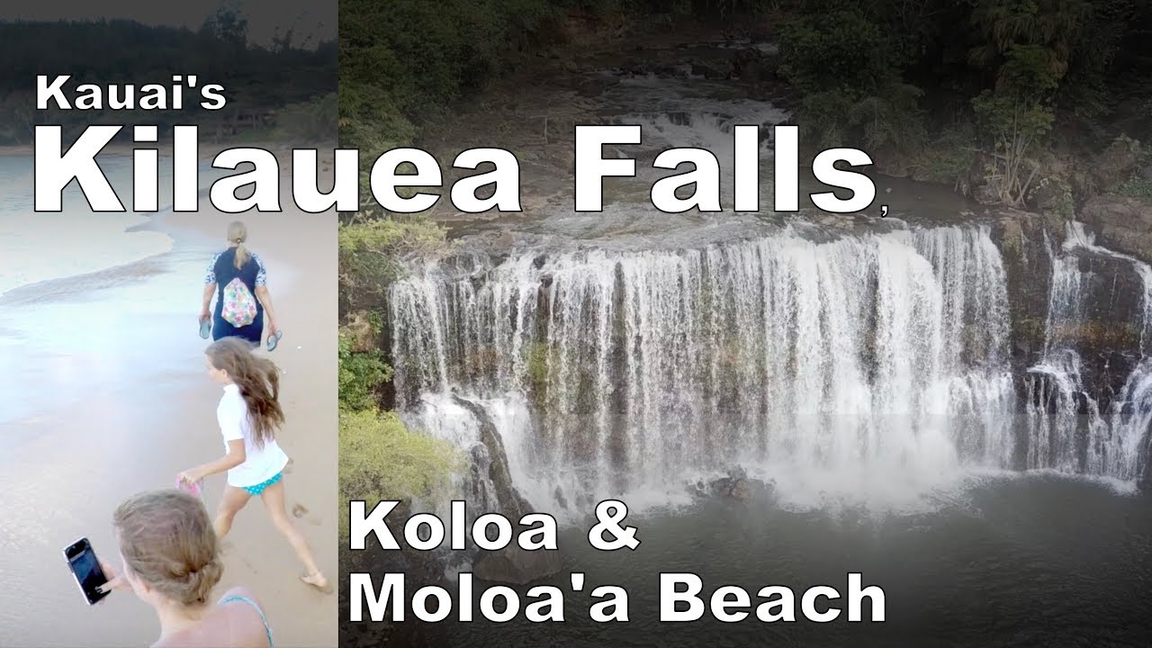 Kilauea Falls, Koloa & Moloa'a Beach - YouTube