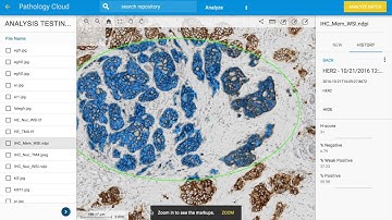 The New Proscia Pathology Cloud