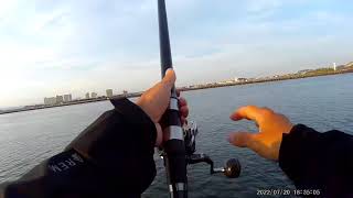 浜名湖 アジ釣り公園 浜名湖 海釣り公園 サビキ サビキ釣り アジ 魚釣り系you Tuberまとめサイト Fishing