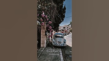 حالات دينيه//تلاوة هادئة//القرآن الكريم//القارئ ماهر المعيقلي #قرآن #القرآن_الكريم