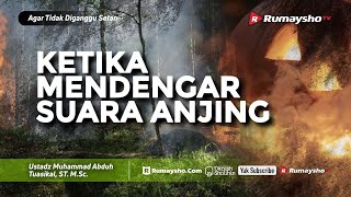 Agar Tidak Diganggu Setan #23: Yang Harus Dilakukan Ketika Mendengar Suara Anjing - Rumaysho TV