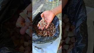 coconut oil making process?? |තෙල් හිඳිනවා village shots coconutoil