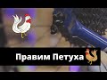 Исправление петуха в домашних условиях