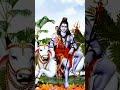 Shiv bhola #BholaBaba #Mahadev #Shiva