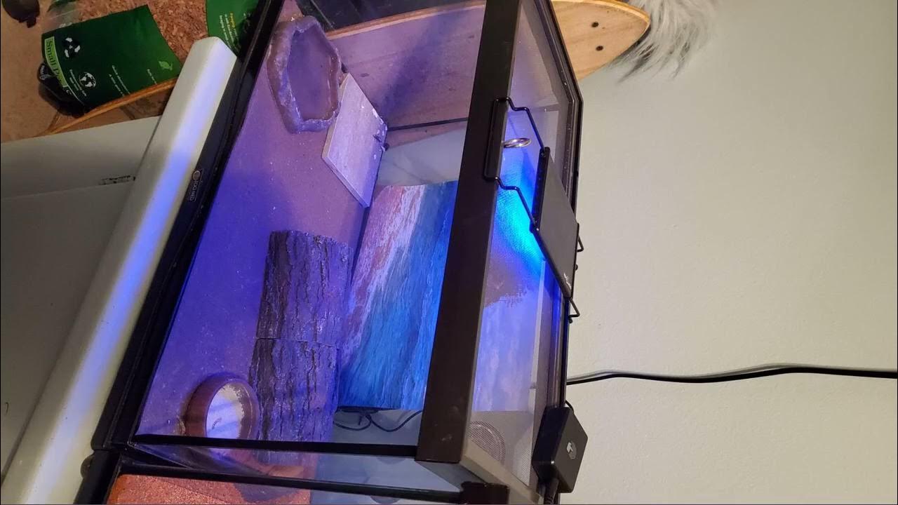 REPTI ZOO Terrarium Light Day and Night Mode Reptile LED Light Hood for