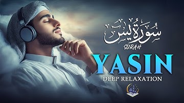 Surah Yaseen (Yasin) سورة يس | Ultimate Relaxing Quran Will Touch Your Heart إن شاء الله #surahyasin