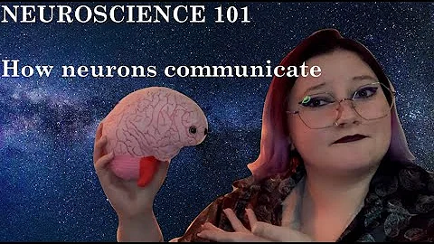 Neuro 101 | How neurons communicate | synapses, action potentials, neurotransmitters, and more!