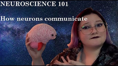Neuro 101 | How neurons communicate | synapses, action potentials, neurotransmitters, and more!