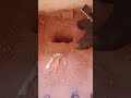 امانة رجل سوداني اثناء الحرب قامت جارتها بتوصيته انو يحفظ ليها دهبها ف قام بدفنها في منزلها