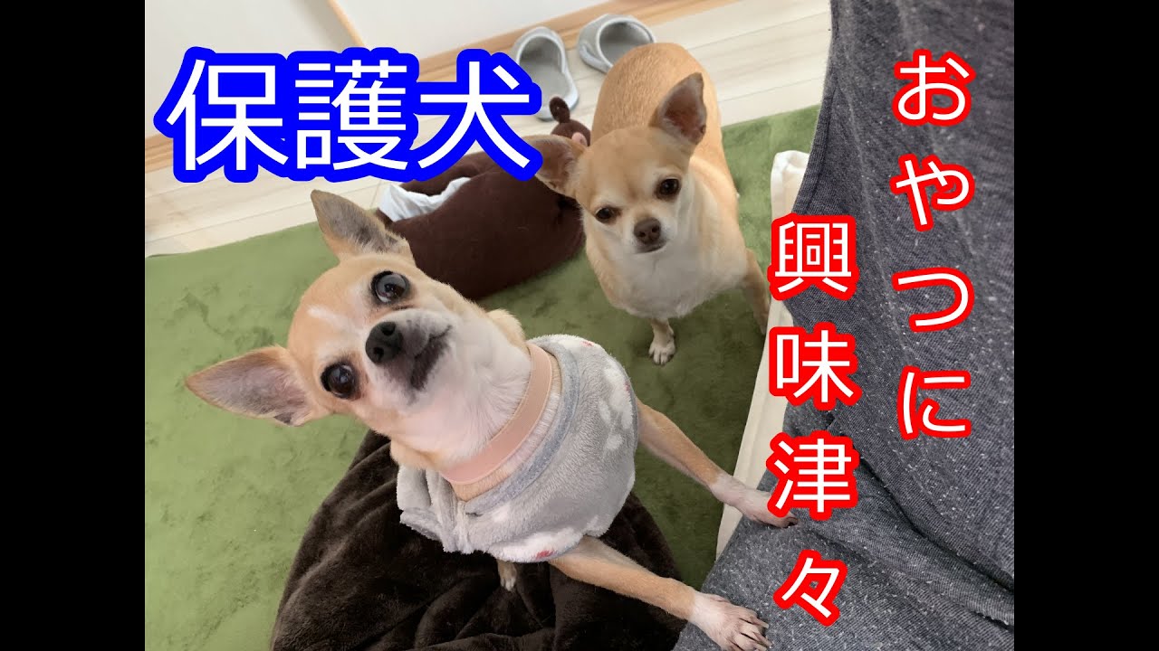 Eb07xhqyzgzxrm