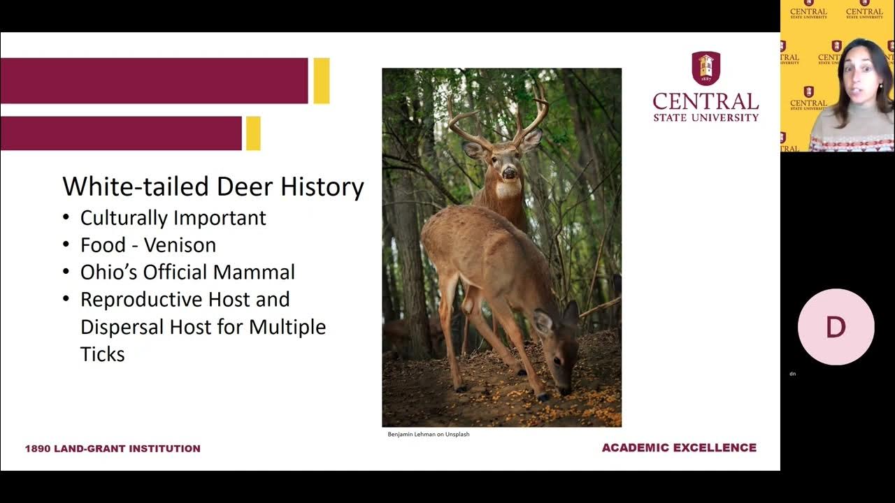 Deer перевод. Oh Deer. Integrated Pest Management (IPM).