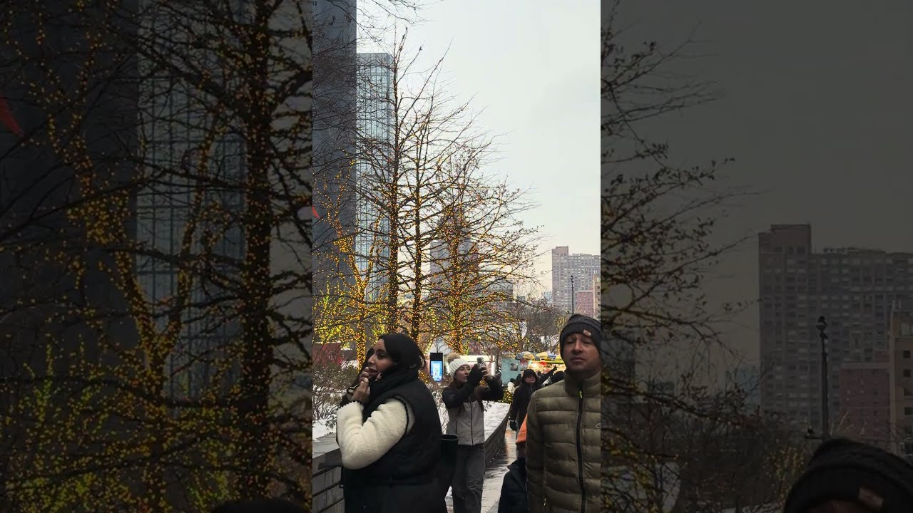 NYC Park Stroll: Winter Trees and City Views
