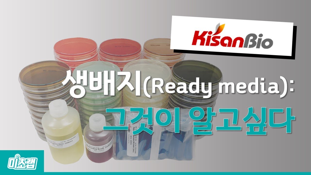 기산바이오 생배지 그것이 알고싶다 !! ( LB agar plate ) - YouTube