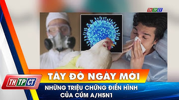 Những triệu chứng điển hình của cúm A/H5N1| Cần Thơ TV