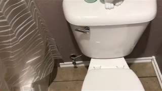 Fix Toilet Tank to Bowl Leaks!!