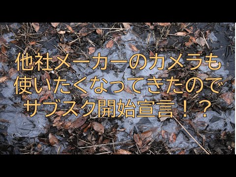 [#261] 昭和記念公園でカメラのサブスクについて語ってみた。