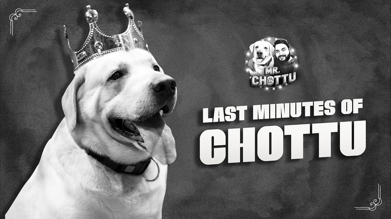 Chottu, Forever In Hearts❤️ | Mr.Chottu