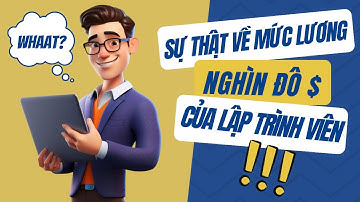 SỰ THẬT VỀ MỨC LƯƠNG NGHÌN ĐÔ CỦA LẬP TRÌNH VIÊN | PHÂN TÍCH BÁO CÁO THỊ TRƯỜNG IT NĂM 2022