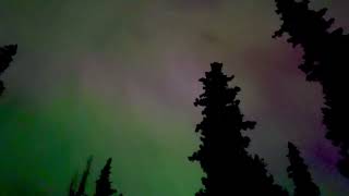 Northern Lights Deep in the Wilderness with Haunting Call of the Loons.