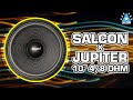SALCON X JUPITER 10″ Woofer (4/8 Ohm)