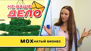 МОХнатый бизнес | НЕ ВАШЕ ДЕЛО