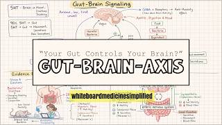The Gut–Brain Axis : How Your Gut Controls Your Brain