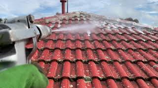 Gentle Moss Removal for Painted Cement Tiles: Soft Washing & Moss Treatment