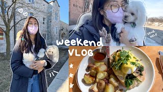 uni weekend vlog: reuniting with my crusty white dog, good food, studying, fun with fam & friends 🌤🍓