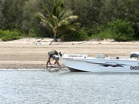 hinchinbrook island 2