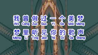 龙飘飘  《 梦在你怀中 》  meng zai ni huai zhong