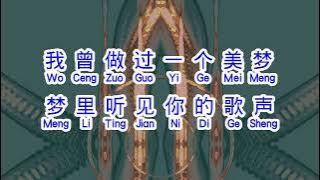 龙飘飘  《 梦在你怀中 》  meng zai ni huai zhong