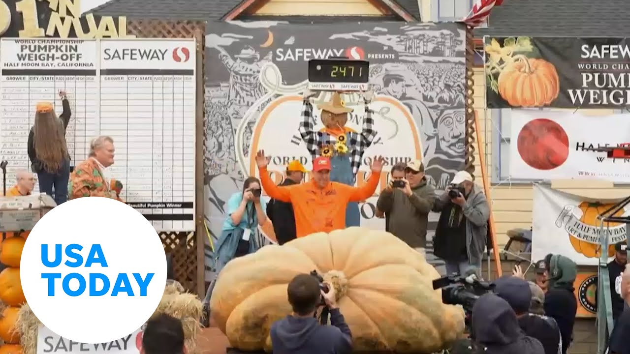 Massive pumpkins take center stage at Half Moon Bay Pumpkin weigh-off | USA TODAY